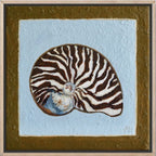 Caramel Stripe Conch - Original Art-Original Art-Aleisha Hobson-Greenhouse Interiors Pty Ltd