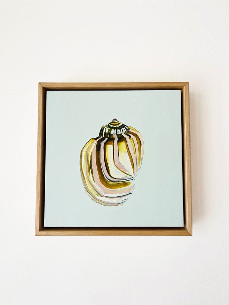 Shell Study Four - Original Oil Painting-Original Art-Kate Jarman-Greenhouse Interiors Pty Ltd