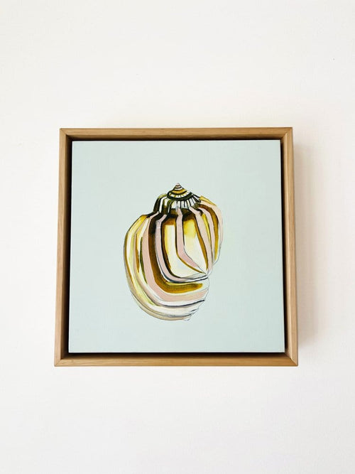 Shell Study Four - Original Oil Painting-Original Art-Kate Jarman-Greenhouse Interiors Pty Ltd