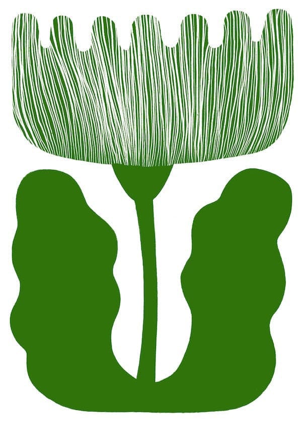 Poppy - Print