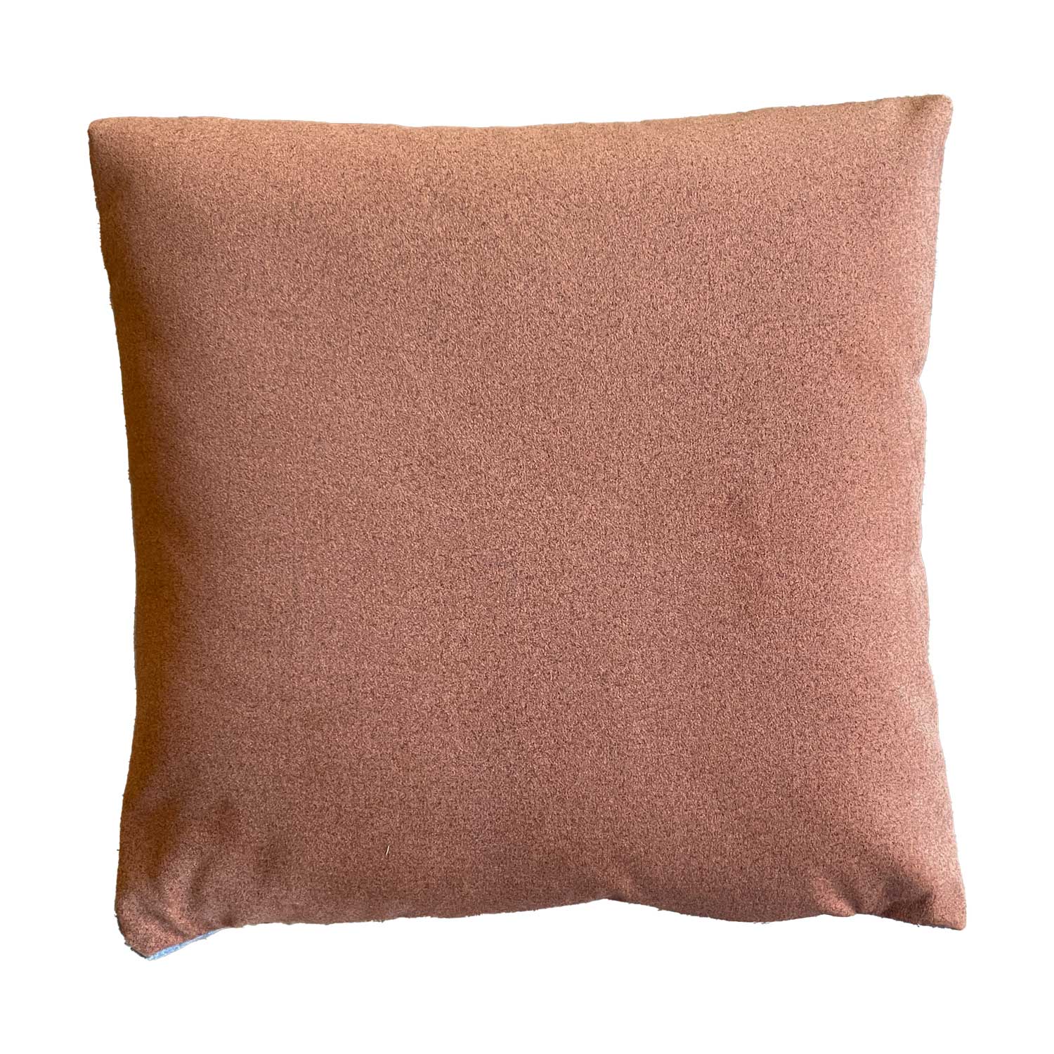 Hand Made Cushion - Paul Smith Bluey