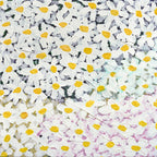 Daisy - Limited Edition Print