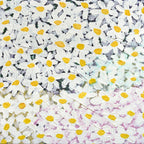 Daisy - Limited Edition Print