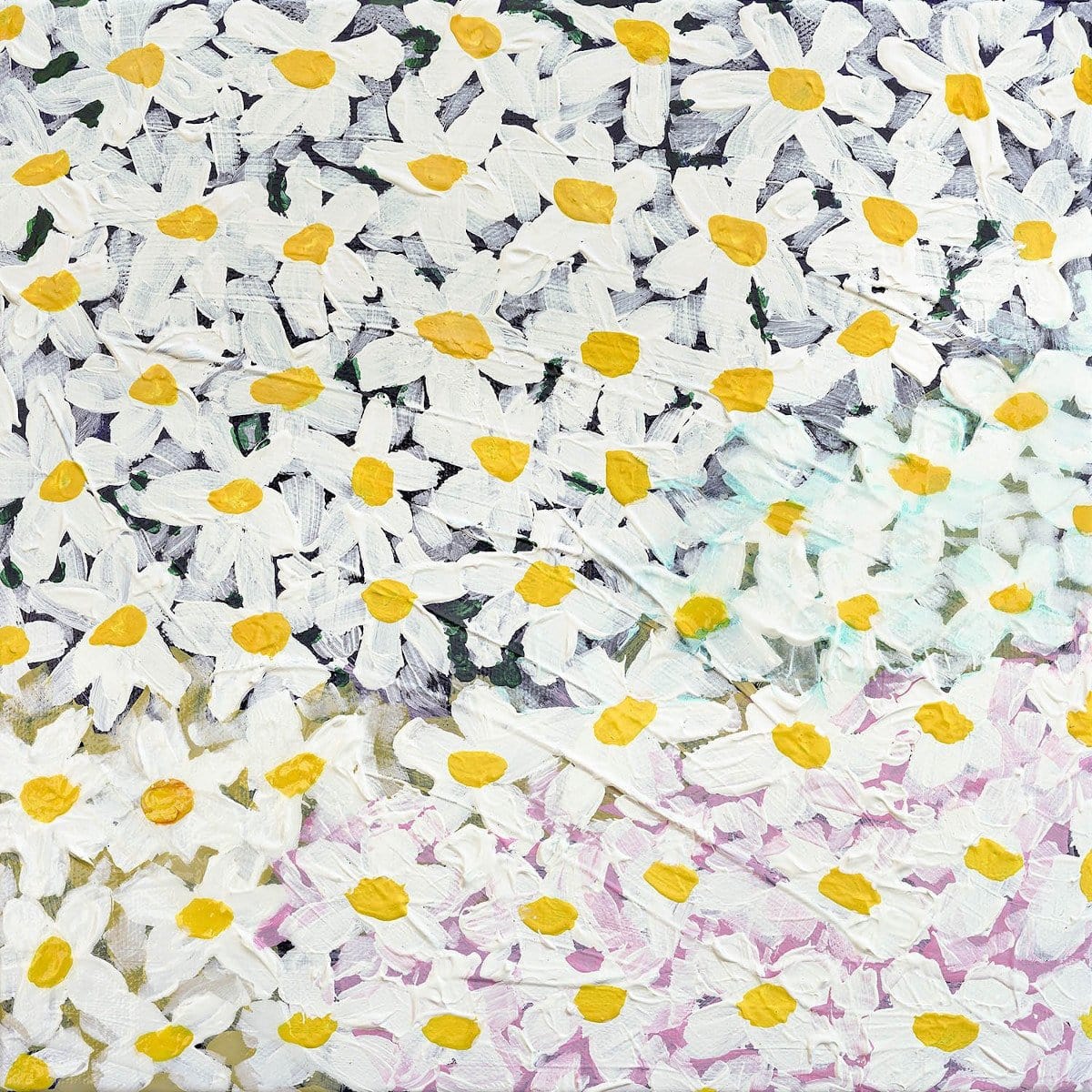 Daisy - Limited Edition Print