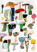 Fungi - Limited Edition Print-Prints-Anne-Sophie Tschiegg-Greenhouse Interiors Pty Ltd