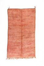 Lucienne Rug - 190cm x 320cm