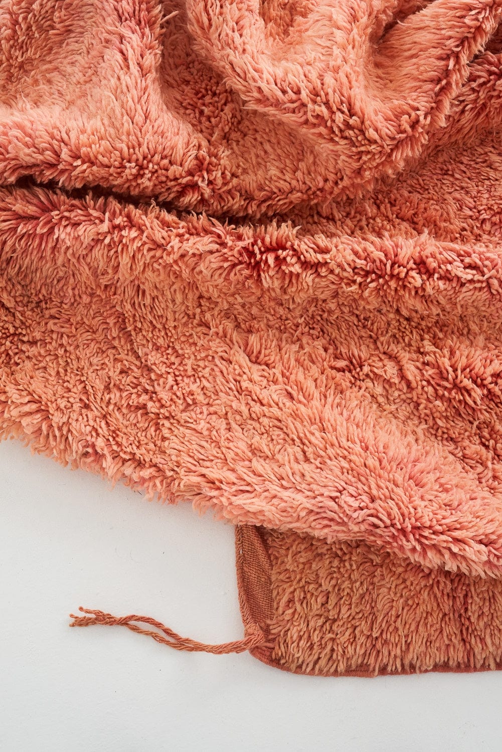Lucienne Rug - 190cm x 320cm