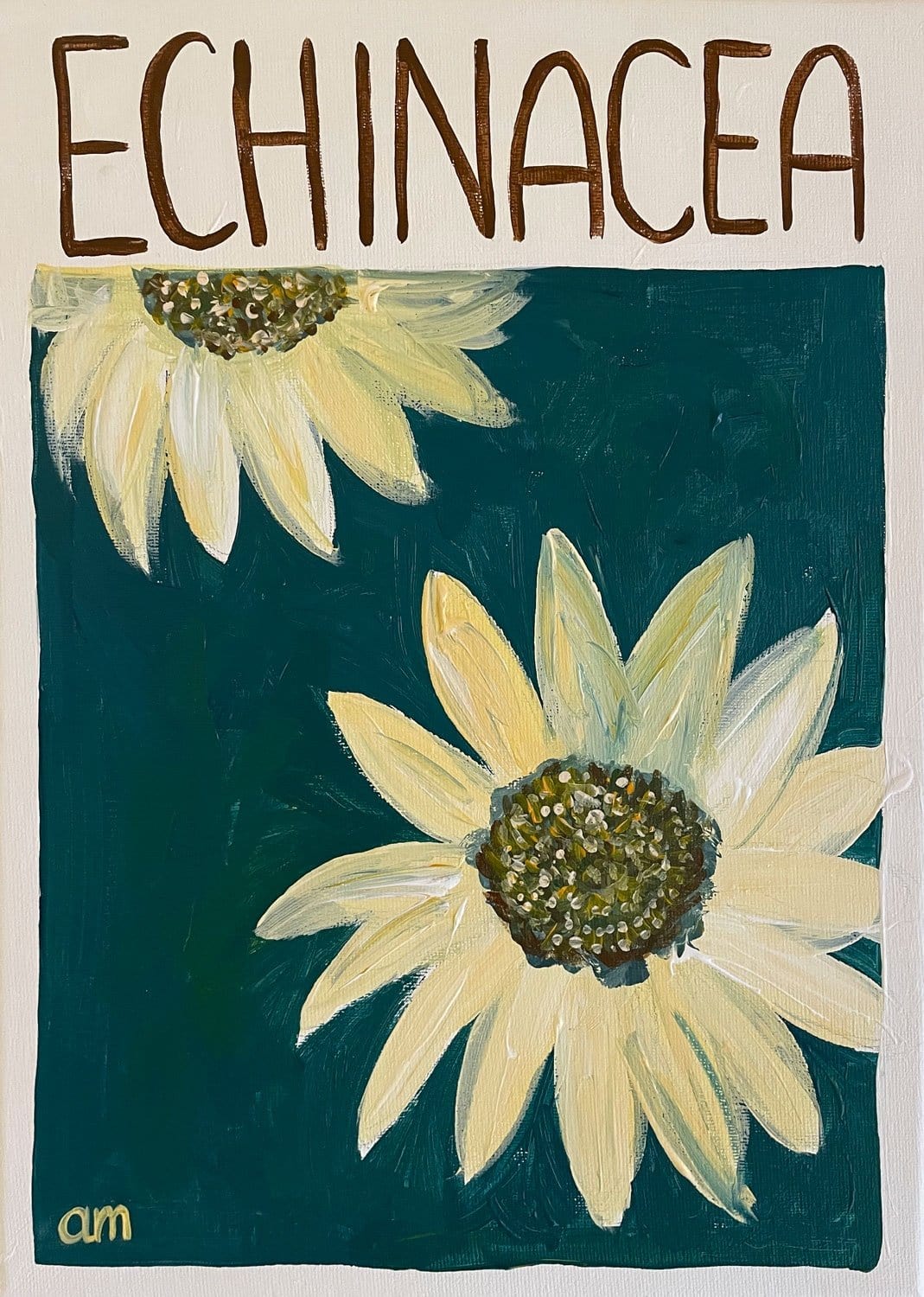 Echinacea - Limited Edition Print
