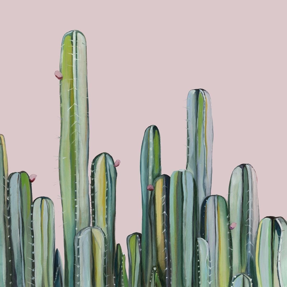 Cactus Field - Print-Prints-Kate Jarman-Greenhouse Interiors