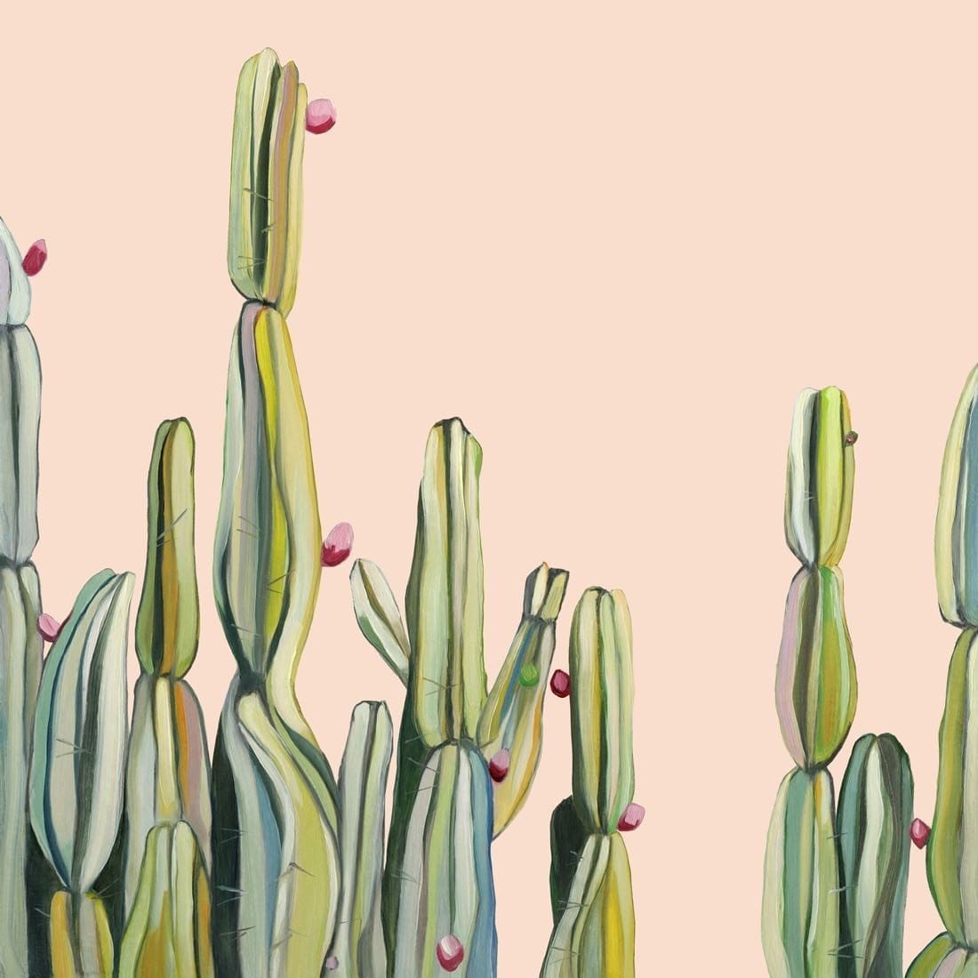 Kimberley Cactus - Print-Prints-Kate Jarman-Greenhouse Interiors
