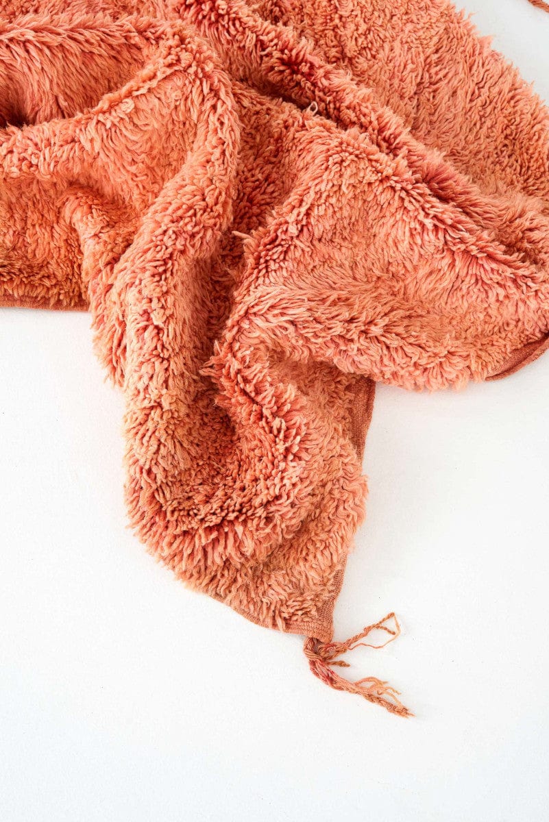 Lucienne Rug - 190cm x 320cm