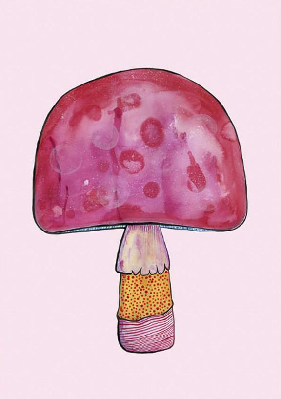 Phat Cap - Print-Prints-Madeleine Stamer-Greenhouse Interiors