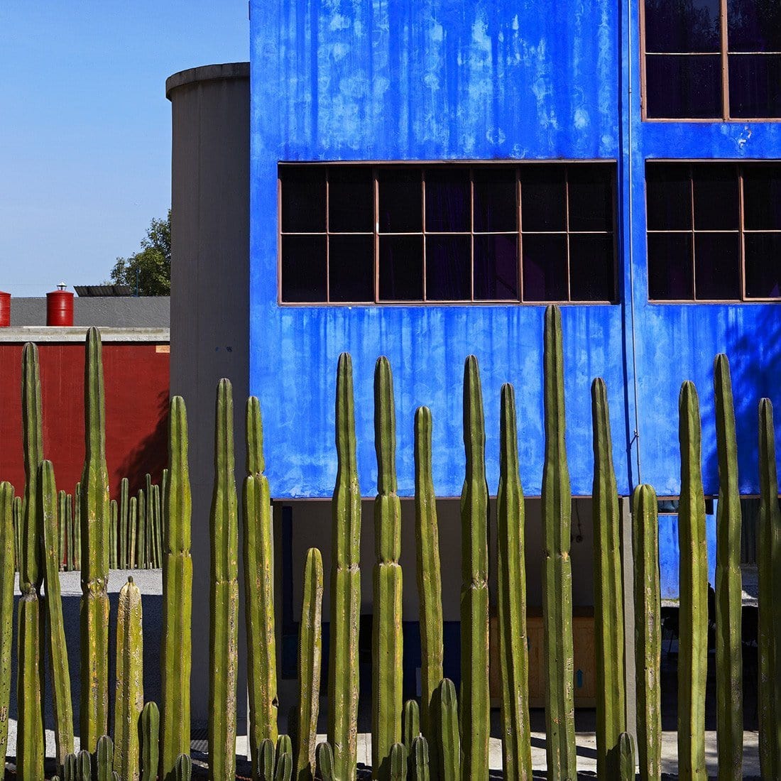 Frida'S House - Print-Prints-Armelle Habib-Greenhouse Interiors