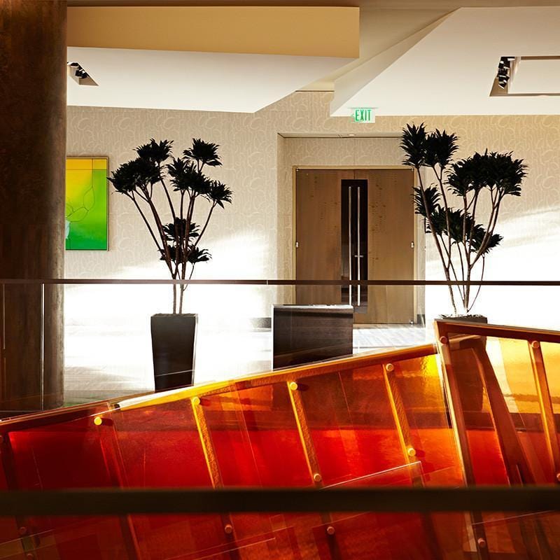 Twin Palms - Print-Prints-Armelle Habib-Greenhouse Interiors