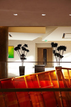 Twin Palms - Print-Prints-Armelle Habib-Greenhouse Interiors