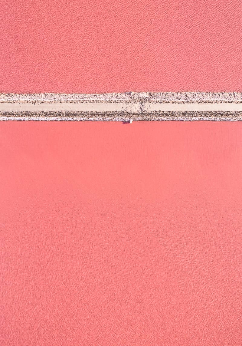 Pink Pond - Print-Prints-Tom Hegen-Greenhouse Interiors