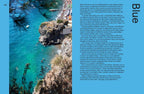 Vivid, Style in Colour by Julia Green & Armelle Habib