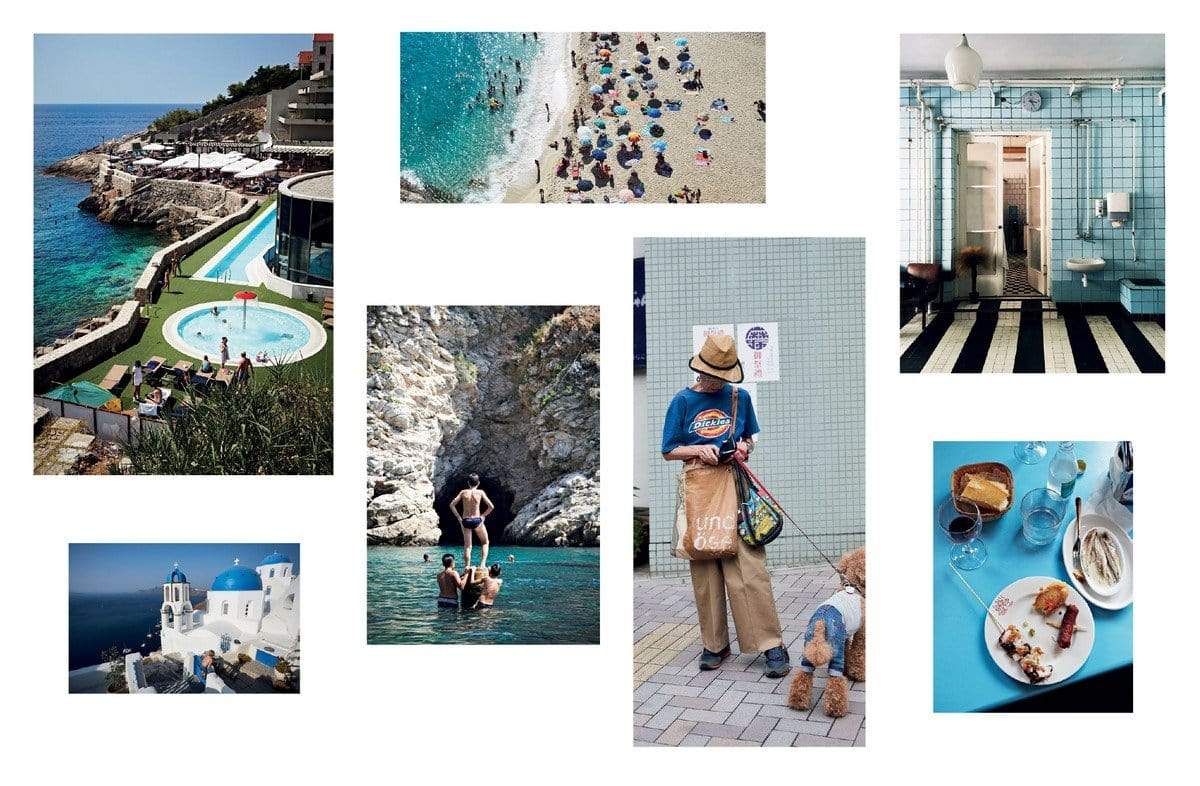 Vivid, Style in Colour by Julia Green & Armelle Habib
