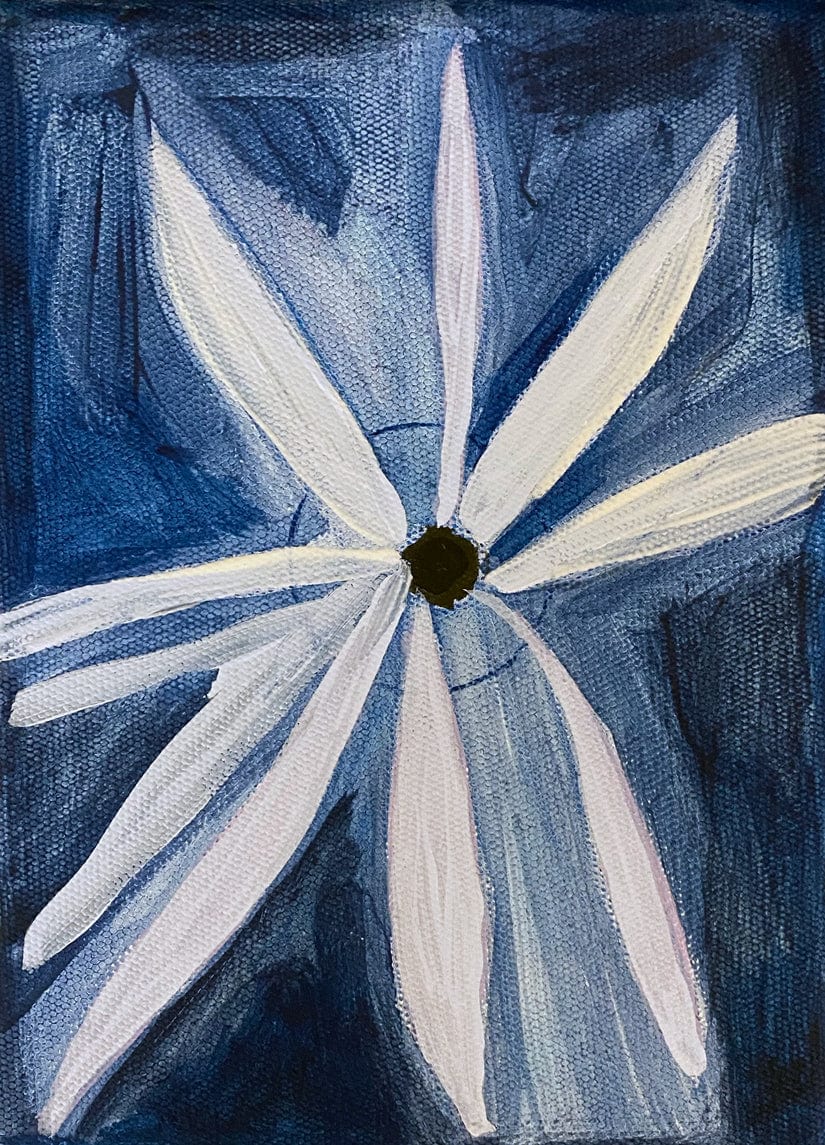 Painted Daisy - Limited Edition Print