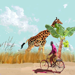 Another Day In Zambia- Limited Edition Print-Prints-Amy Snail-Greenhouse Interiors Pty Ltd