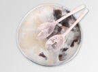 Resin Long Stone Servers - Shell Pink