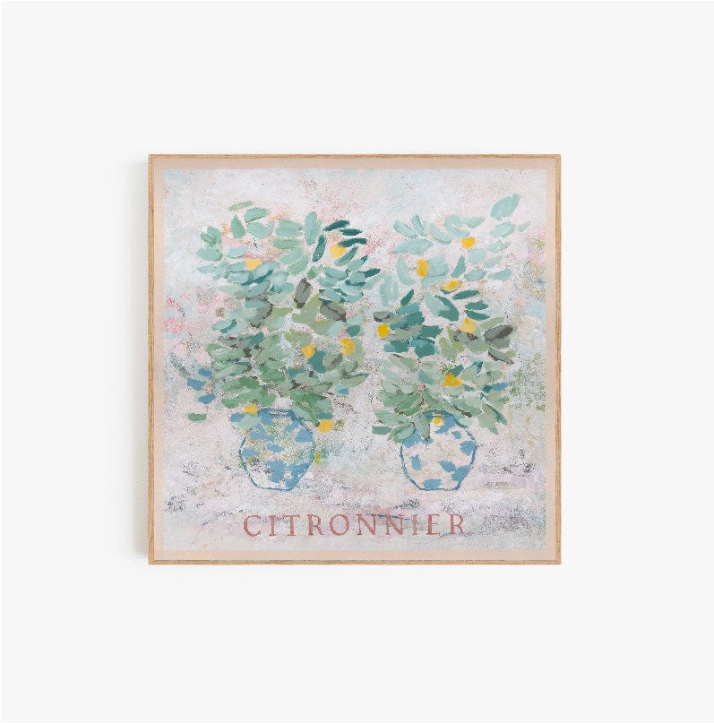 Citronnier - Limited Edition Print