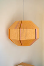 Charlotte Light Shade