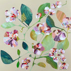 Intimate Details - Limited Edition Print