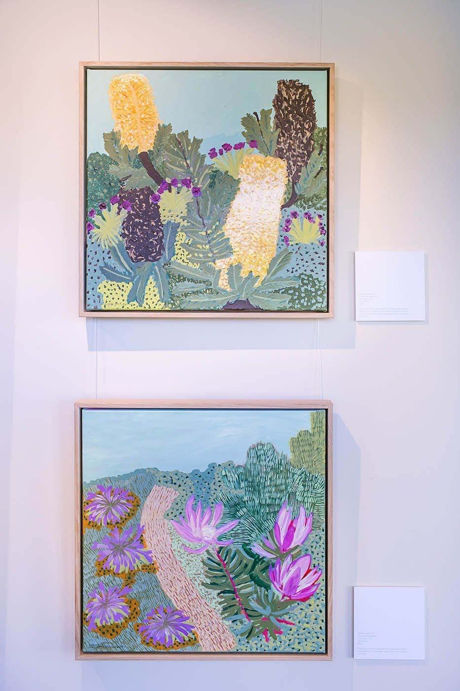 Leucadendron & Agapanthus 2020 - Limited Edition Print