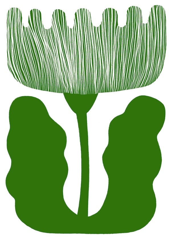 Poppy - Print